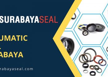 pneumatic seal surabaya