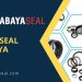 rubber seal surabaya