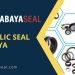 hydraulic seal surabaya