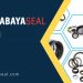 Custom Size X Ring Seal